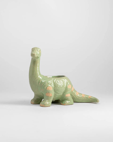 Brontosaurus Dino Pot