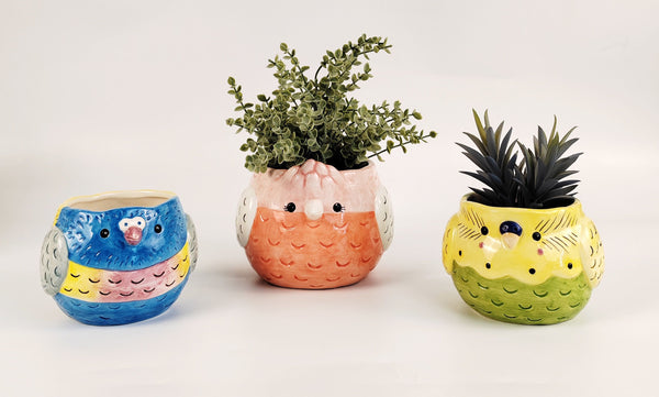 Lorikeet Bird Pot