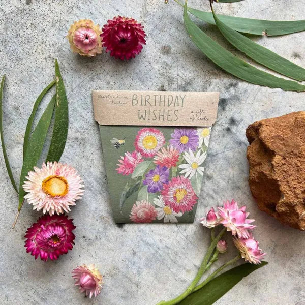 Birthday Wishes Gift of Seeds Card | Sow n Sow