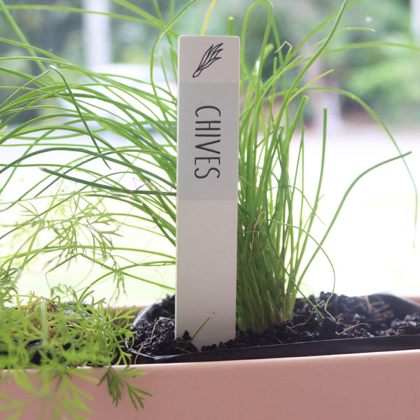 Chives Herb Label