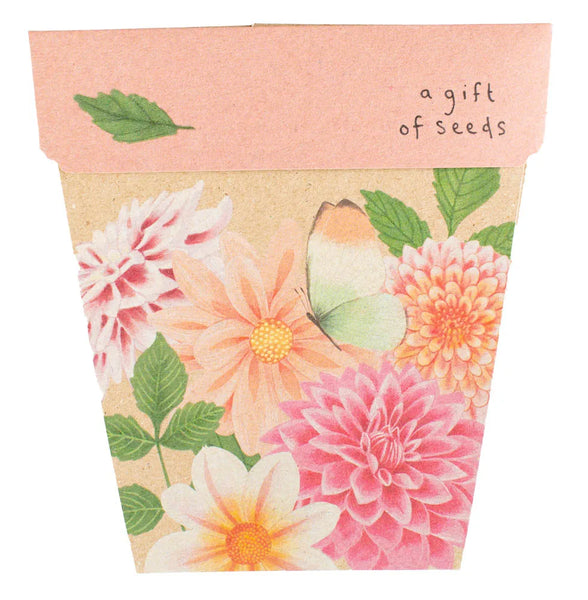 Dahlia Gift of Seeds Card | Sow n Sow