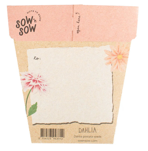 Dahlia Gift of Seeds Card | Sow n Sow