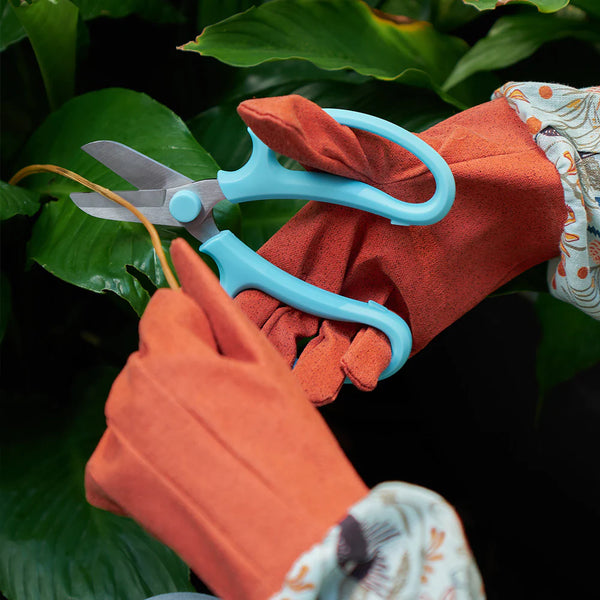 Garden Scissors | Blue