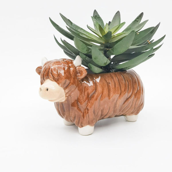 Highland Cow Pot