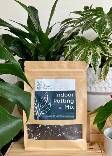 Indoor Premium Potting Mix 3L