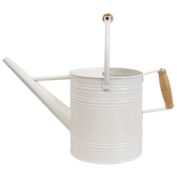 Ivory Watering Can