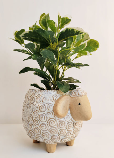 Sheep Pot | Large