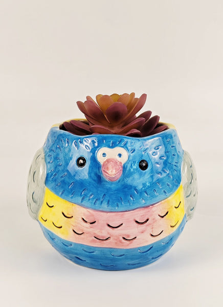 Lorikeet Bird Pot