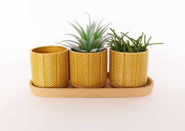 Mustard Zari Pots on Saucer