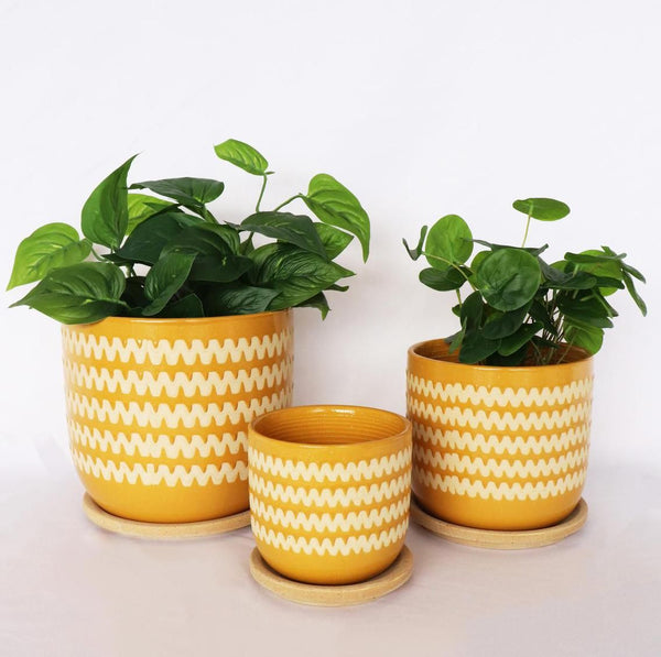 Mustard Pot with Saucer | Medium