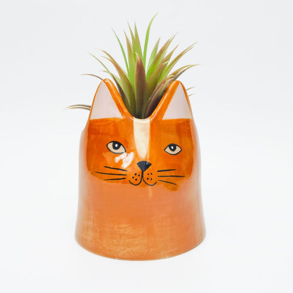 Bailey Cat Pot | Orange