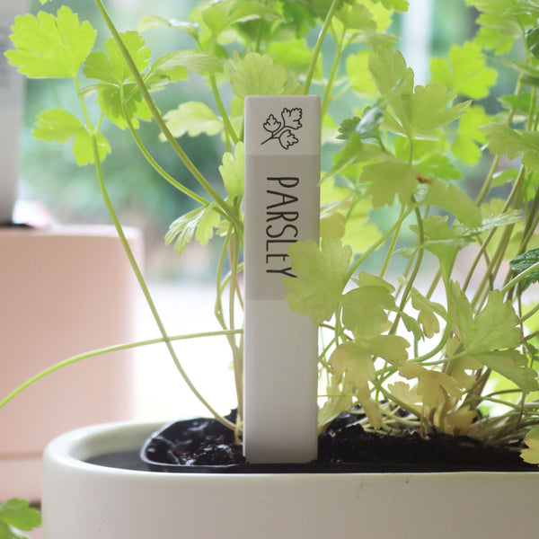 Parsley Herb Label