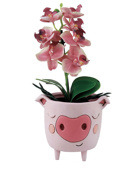 Piggy Pot | Allen Designs