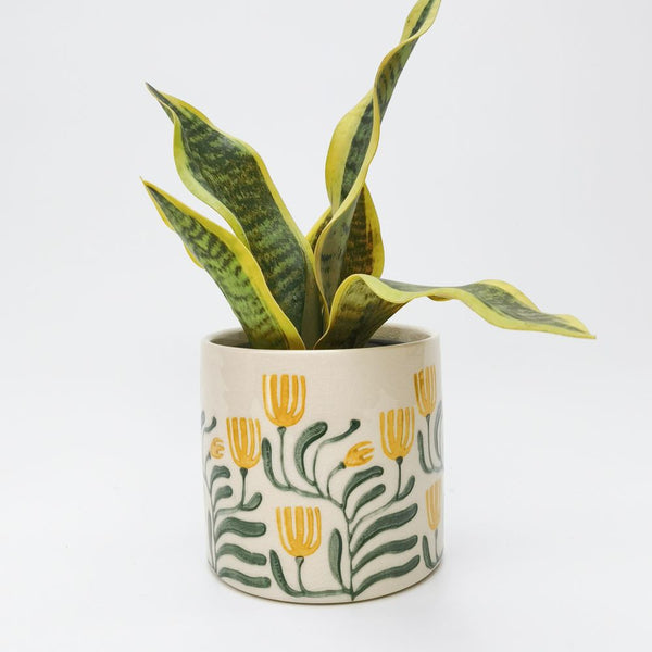 Yellow Pilbra Pot