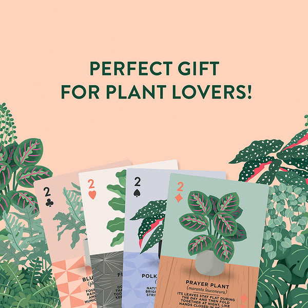 House Plants Playing Cards