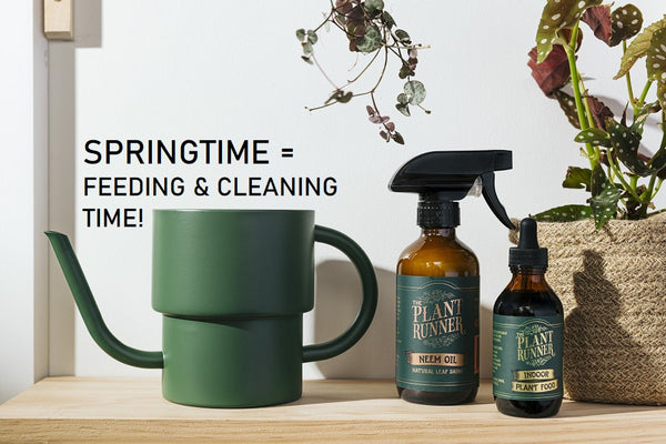 The Plant Runner - Indoor Plant Food | 100ml