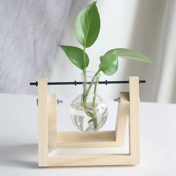 Single Propagation Station