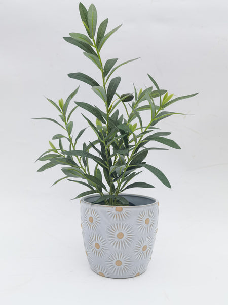 Embossed Daisy Pot | Large