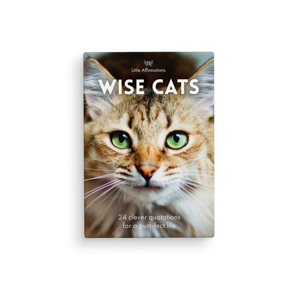 Wise Cats | Little Affirmations