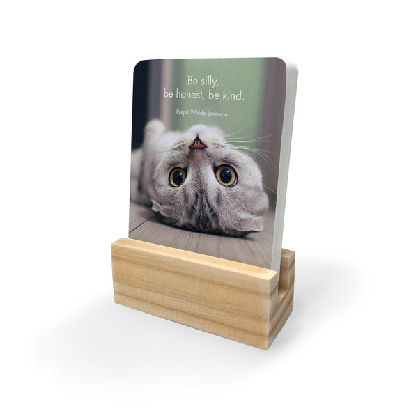 Wise Cats | Little Affirmations