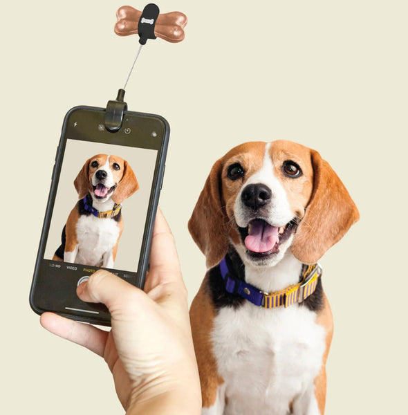 Dog Treat Selfie Clip