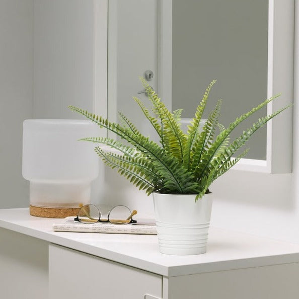 Artificial Fern Plant