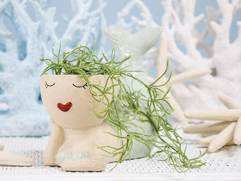 Mandy Mermaid Pot