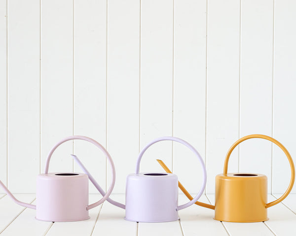 Lilac Watering Can
