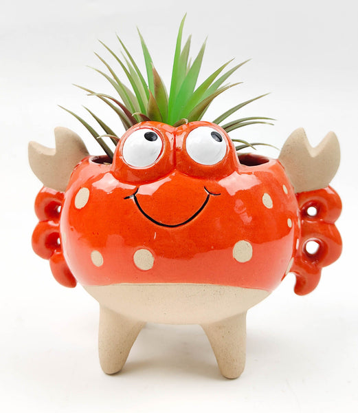 Sebastian Crab Pot | Large