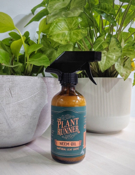 The Plant Runner - Neem Oil | 250ml