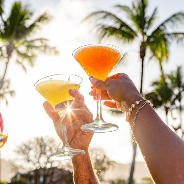 Pash Inn Cocktail Mixer | Mr Consistent