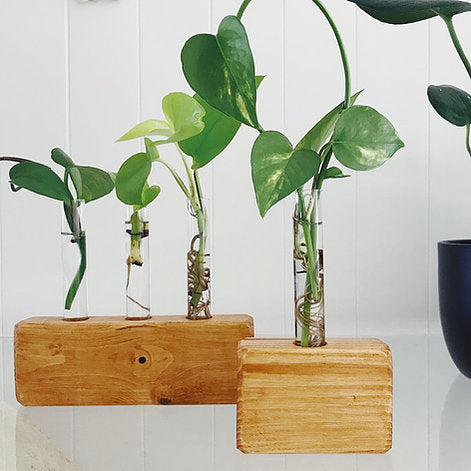 Propagation Station | Test Tube