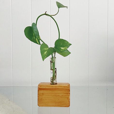 Propagation Station | Test Tube