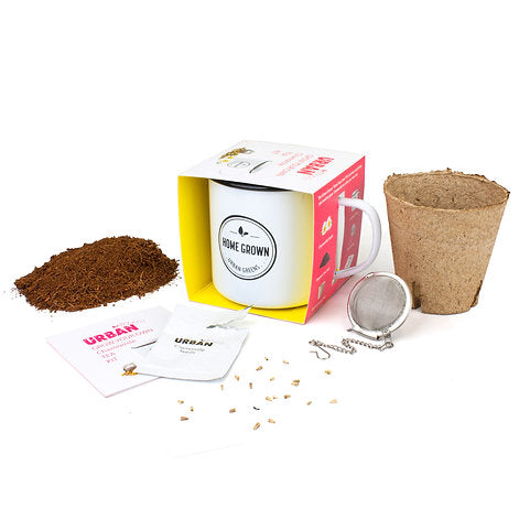 Grow Your Own Chamomile Tea Kit | Urban Greens