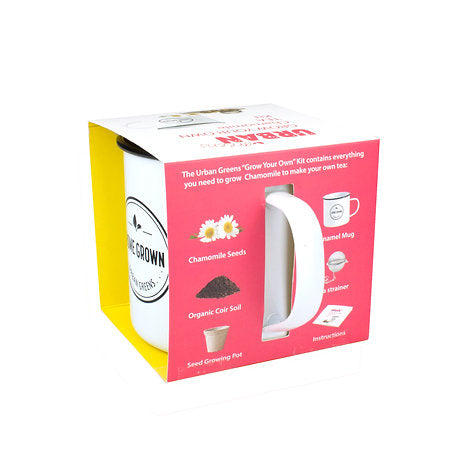 Grow Your Own Chamomile Tea Kit | Urban Greens