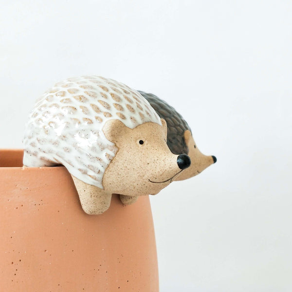 Hedgehog Pot Hanger