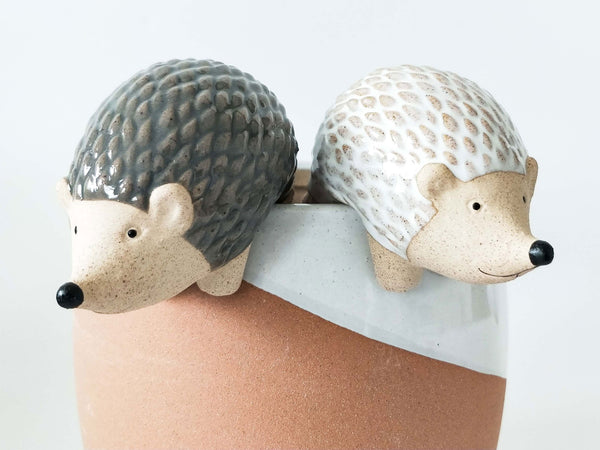 Hedgehog Pot Hanger