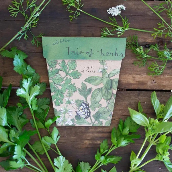 Trio of Herbs Seeds | Sow n Sow Card