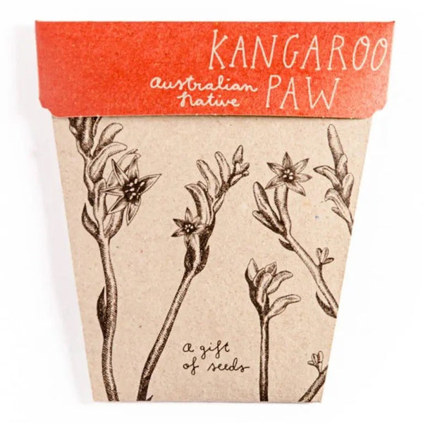 Kangaroo Paw Gift of Seeds Card | Sow n Sow