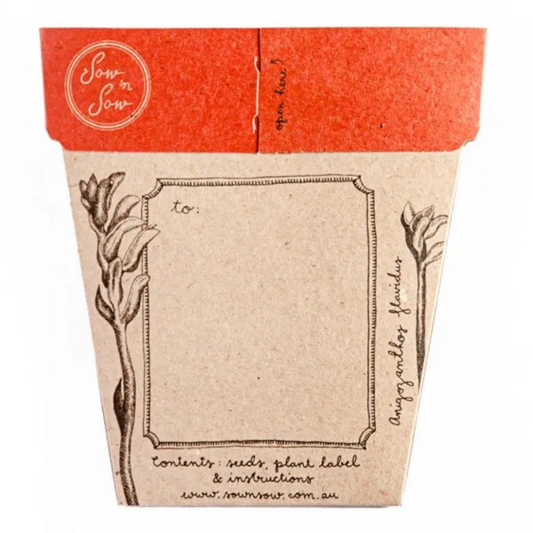 Kangaroo Paw Gift of Seeds Card | Sow n Sow