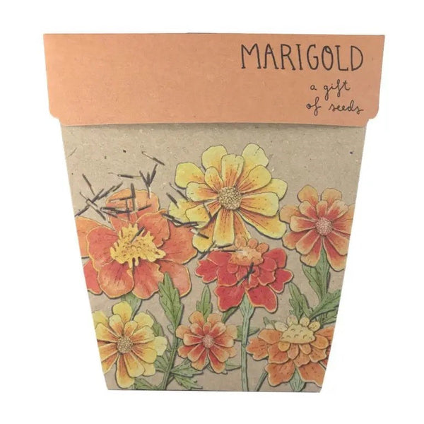 Marigolds Gift of Seeds Card | Sow n Sow