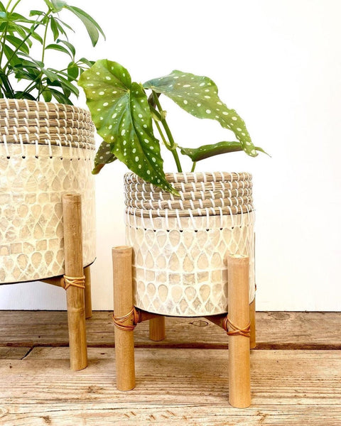 Odawa Capiz Shell Planter | Medium