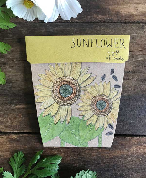 Sunflower Gift of Seeds Card | Sow n Sow