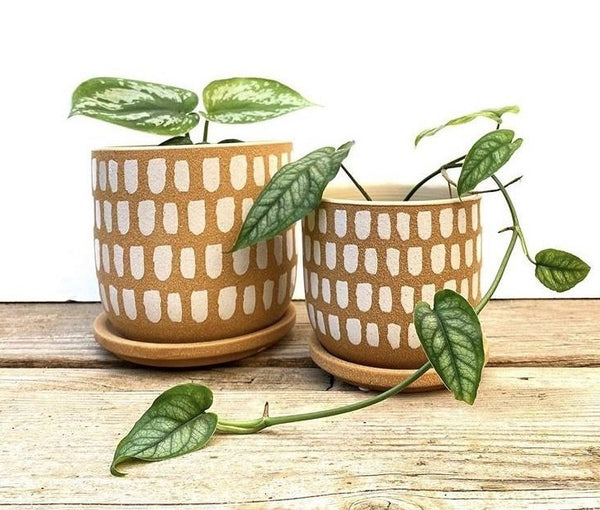 Luca Pot with Saucer | Large