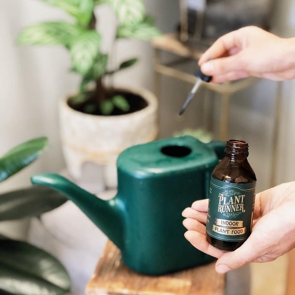 The Plant Runner - Indoor Plant Food | 100ml