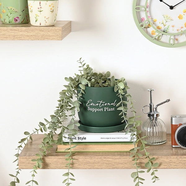 Emotional Support Plant Pot