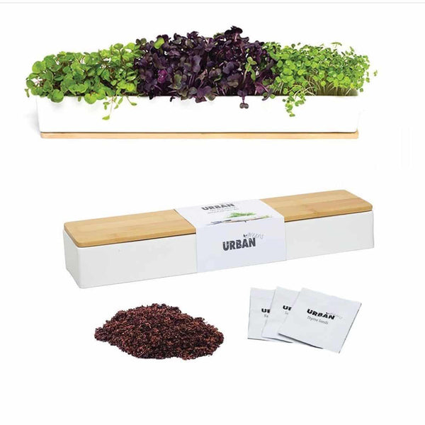 Micro Herbs Windowsill Kit | Urban Greens