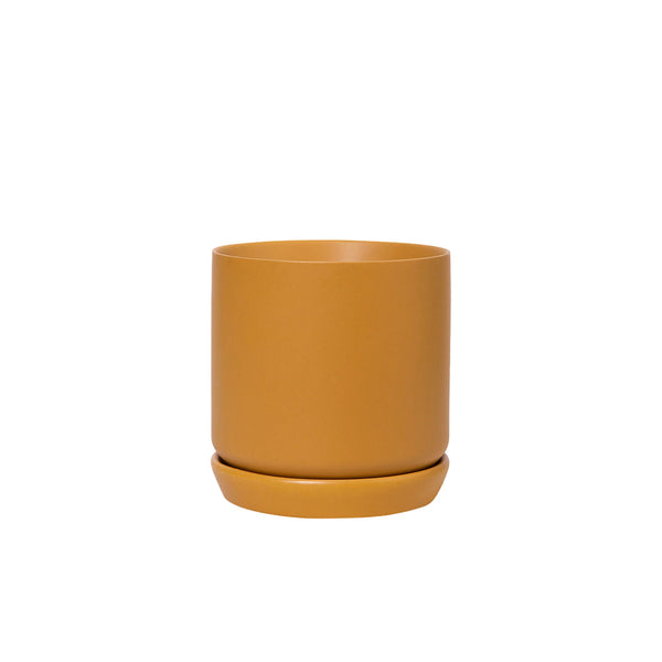 Mustard Small Oslo Pot