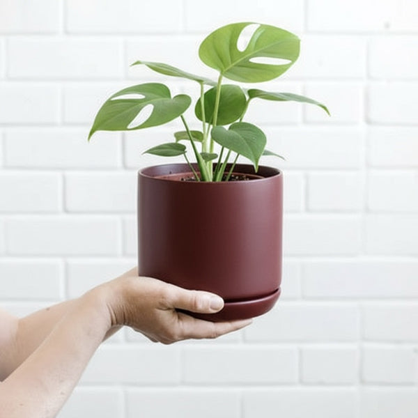Brick Oslo Pot