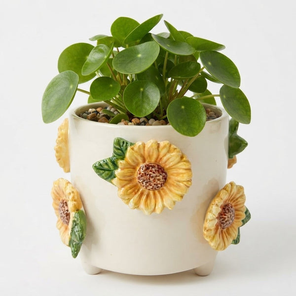 Sunflower Pot